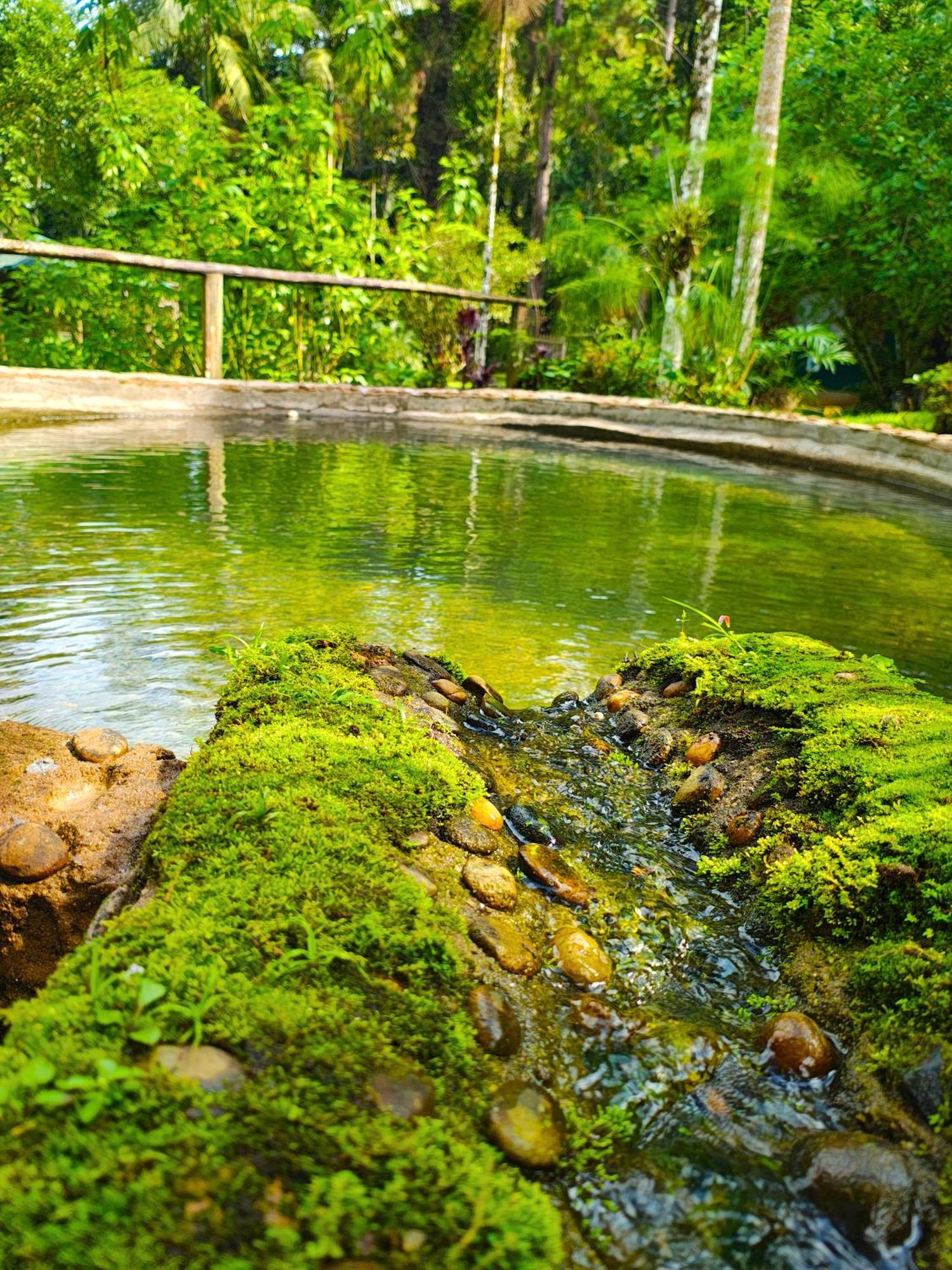 Pousada Romantica Serra Da Mata Penedo  Ngoại thất bức ảnh
